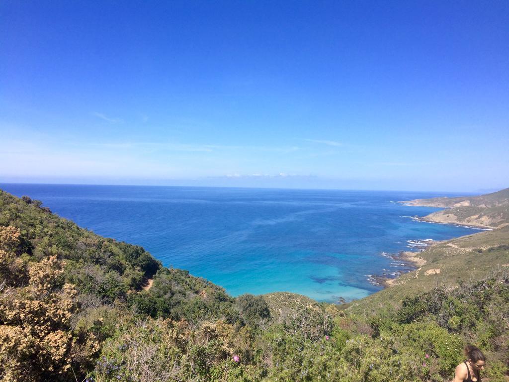 Calvi Appart Hotel Eksteriør billede