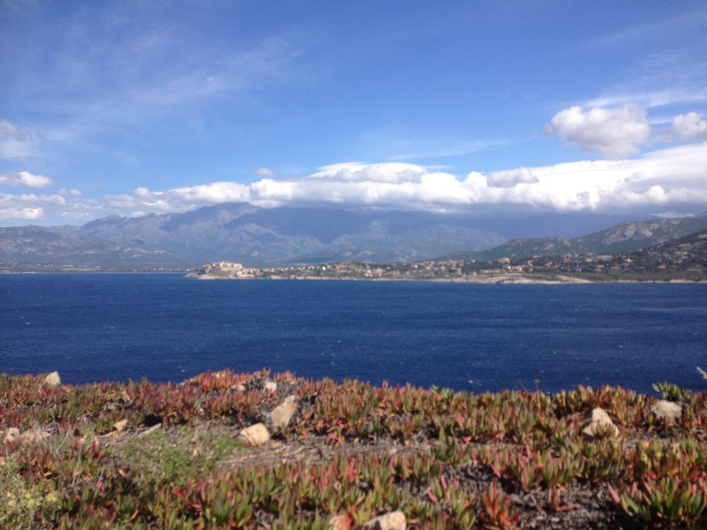 Calvi Appart Hotel Eksteriør billede